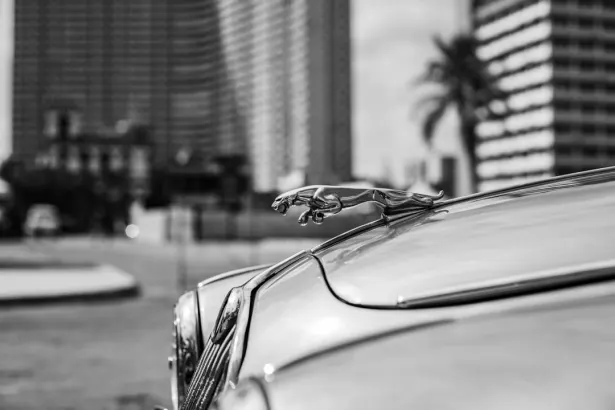 BetRegal Casino Android/iOS rakendus